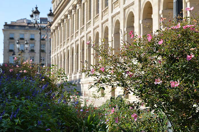 Taxi d'entreprise centre ville Bordeaux